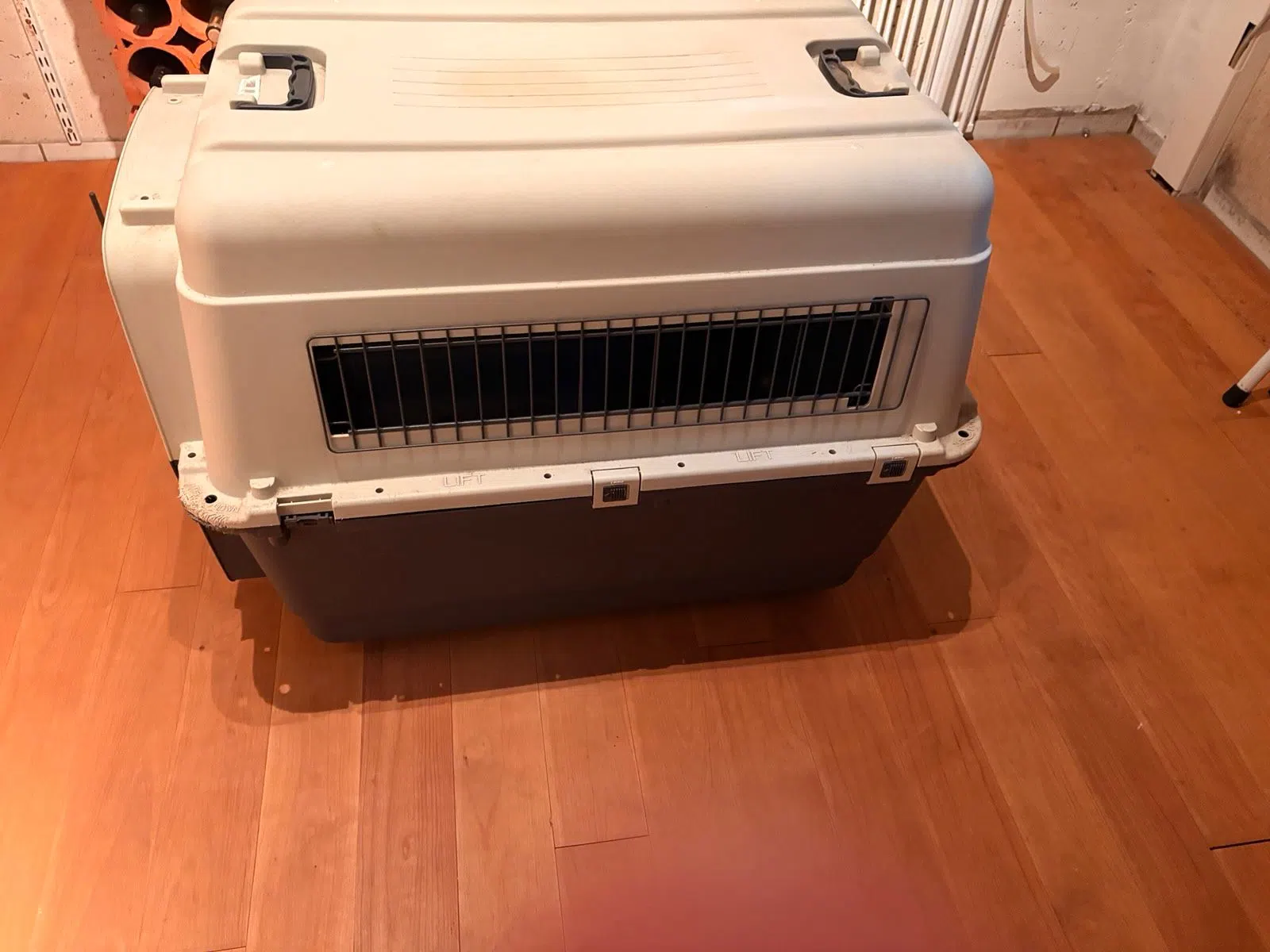 Hundebox groß