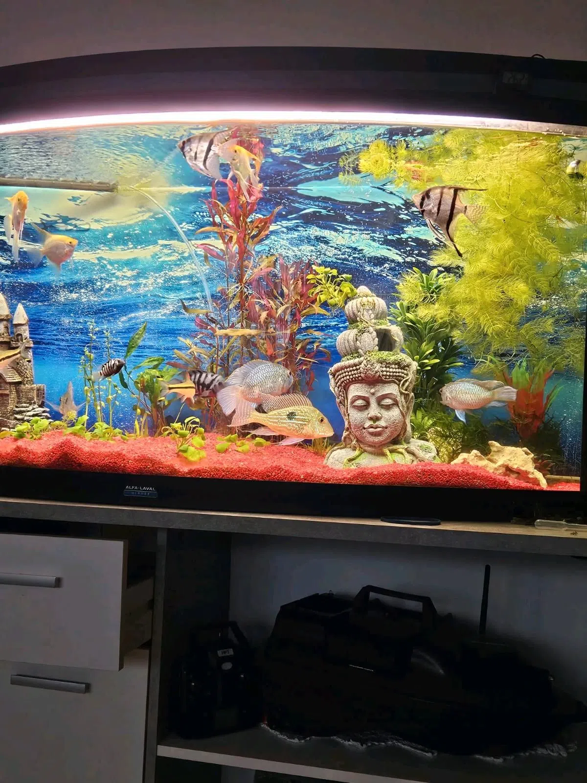 Aquarium mit viel Zubehör  (200l)