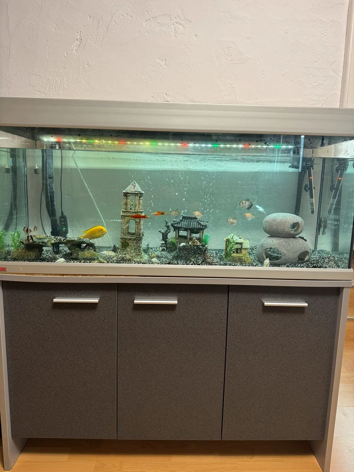 Fisch mit Aquarium  120-50-40. 220L