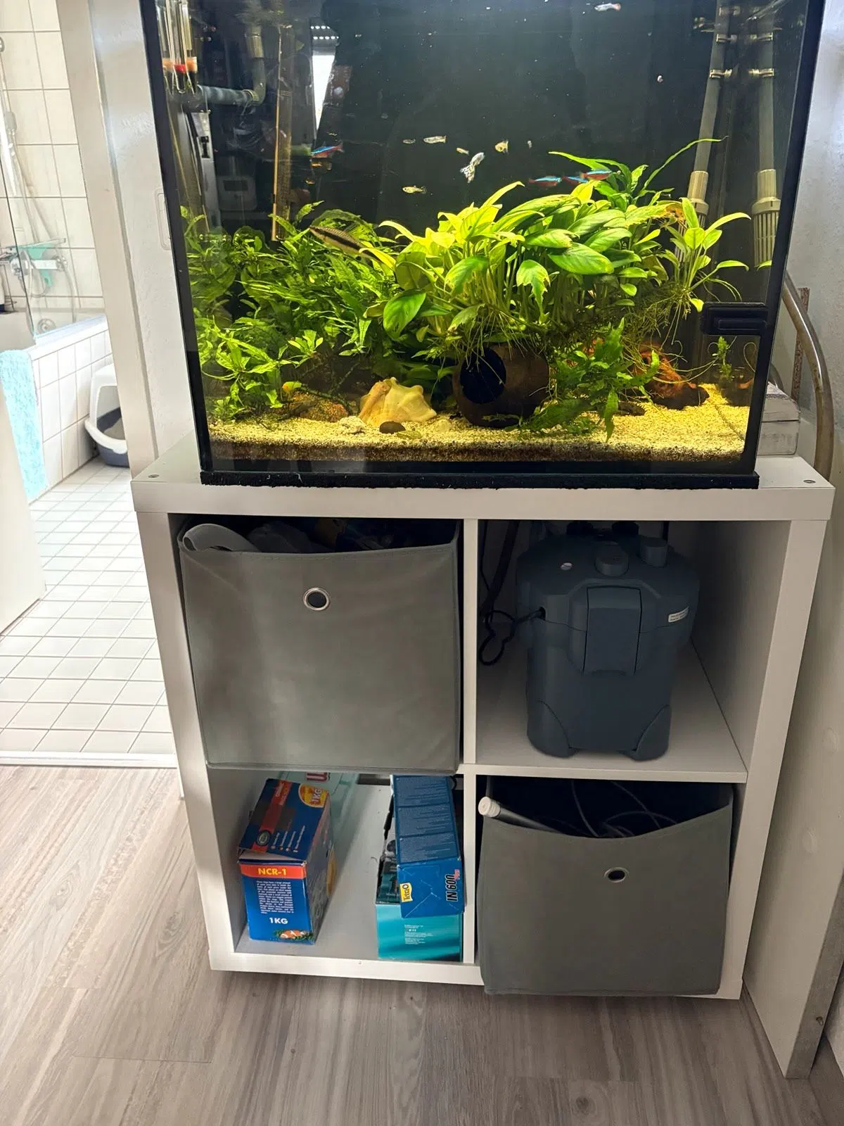 Aquarium komplett abzugeben