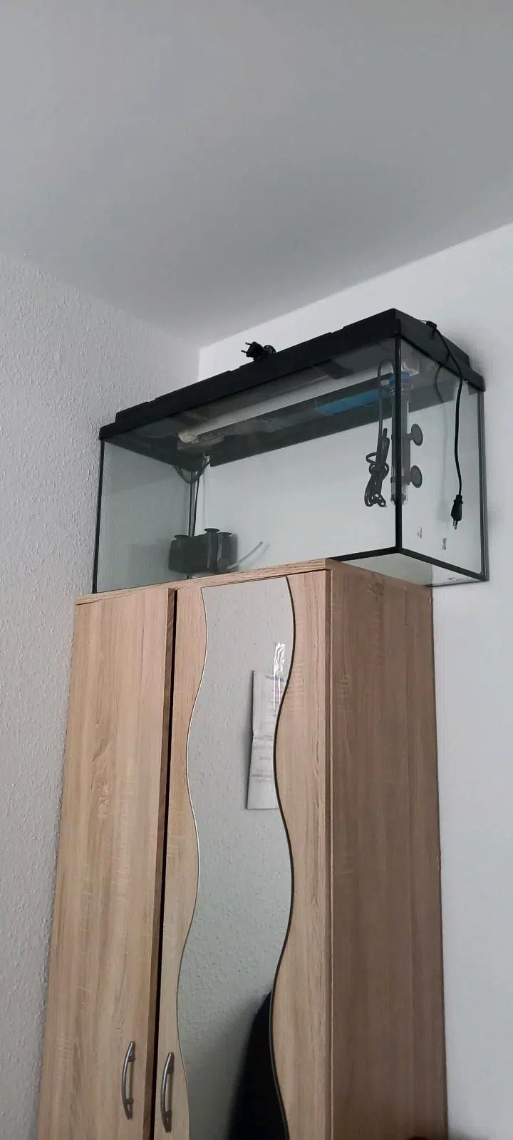​Aquarium 96 L mit Eheim Filter & Jäger Heizer