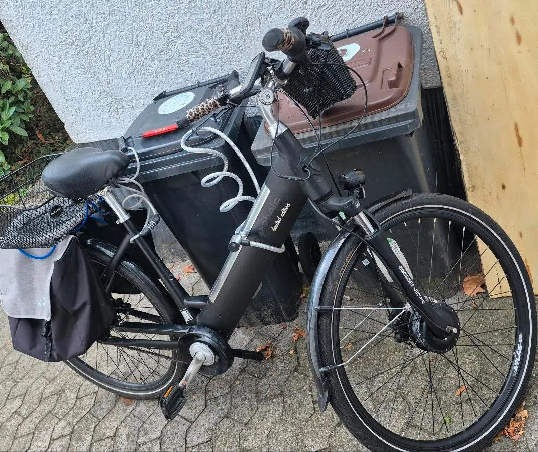 PROPHETE E-Bike Limited Edition 110 Jahre 2017 km Wackelkontakt
