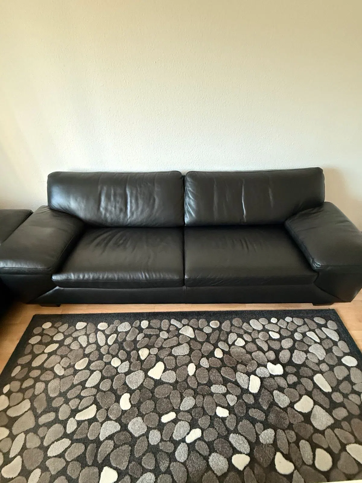 2 hochwertige Ledersofas