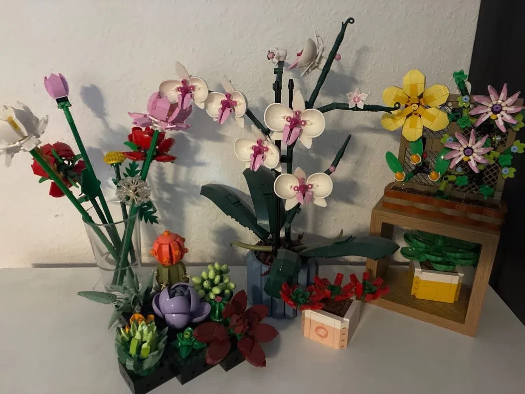 LEGO Blumen-Set: Orchidee, Sukkulenten & mehr