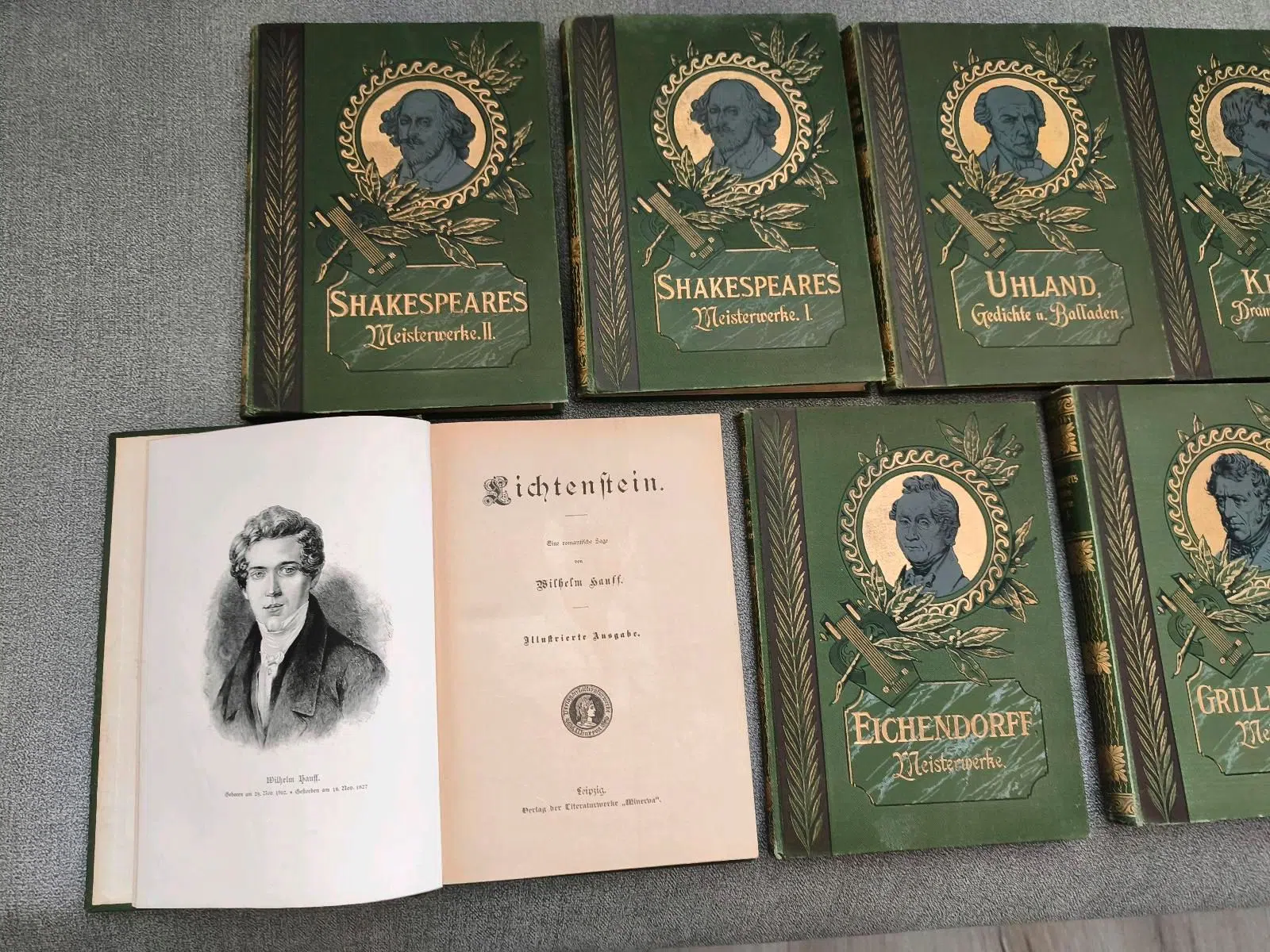 19 antike Klassiker Bücher Sammlung Heine Schiller Shakespeare