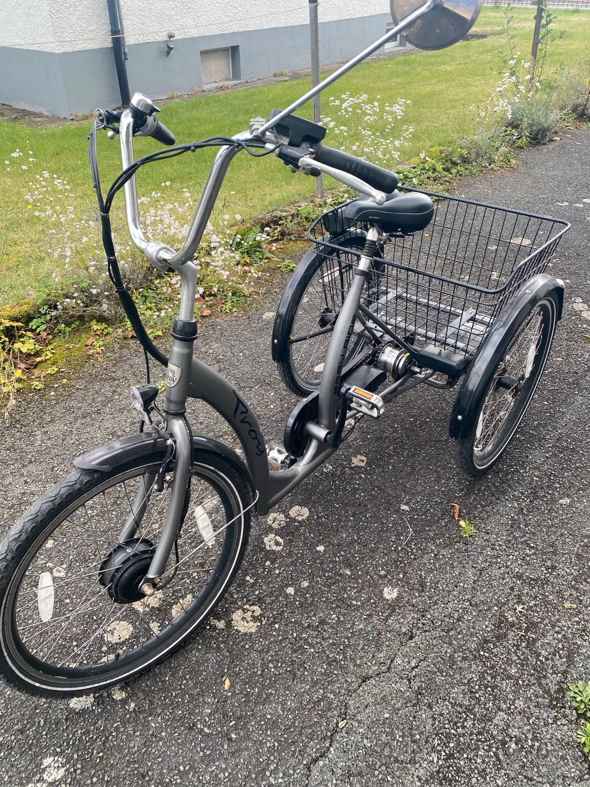Elektrisches Lastenrad, Dreirad, E-Bike