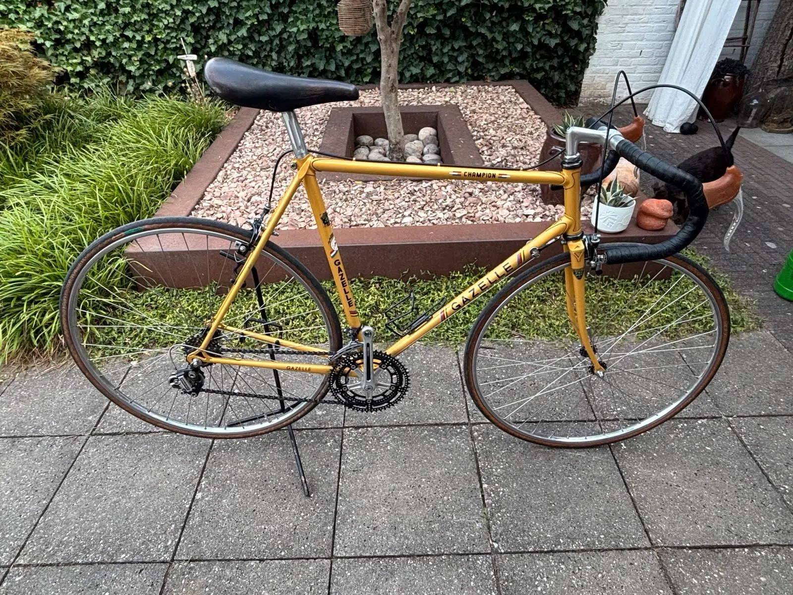 Gazelle Champion 1978 CT 58 ( Gazelle Champion Mondial )