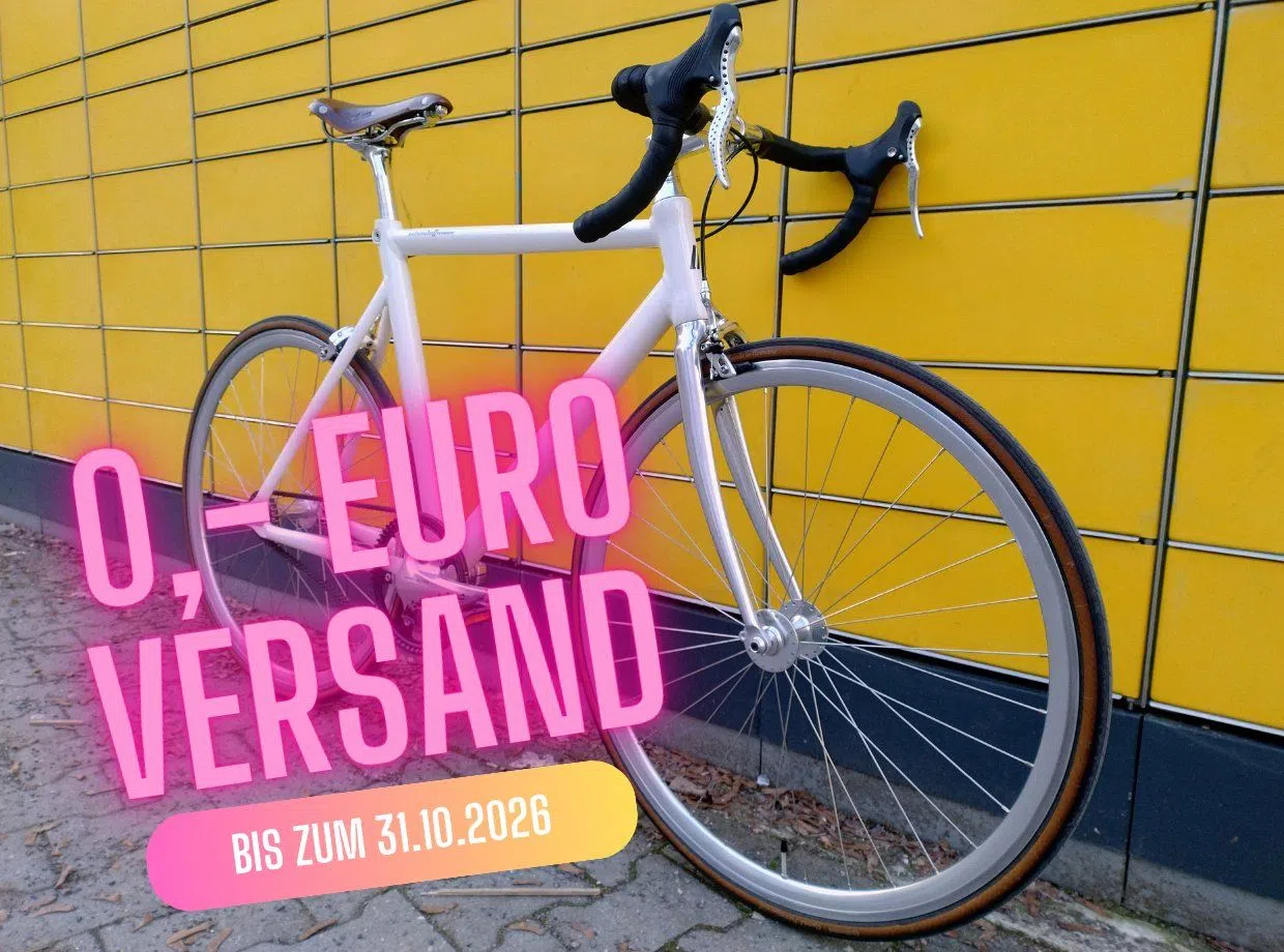 Schindelhauer Siegfried Road (M) Rennrad Citybike Alfine Gates