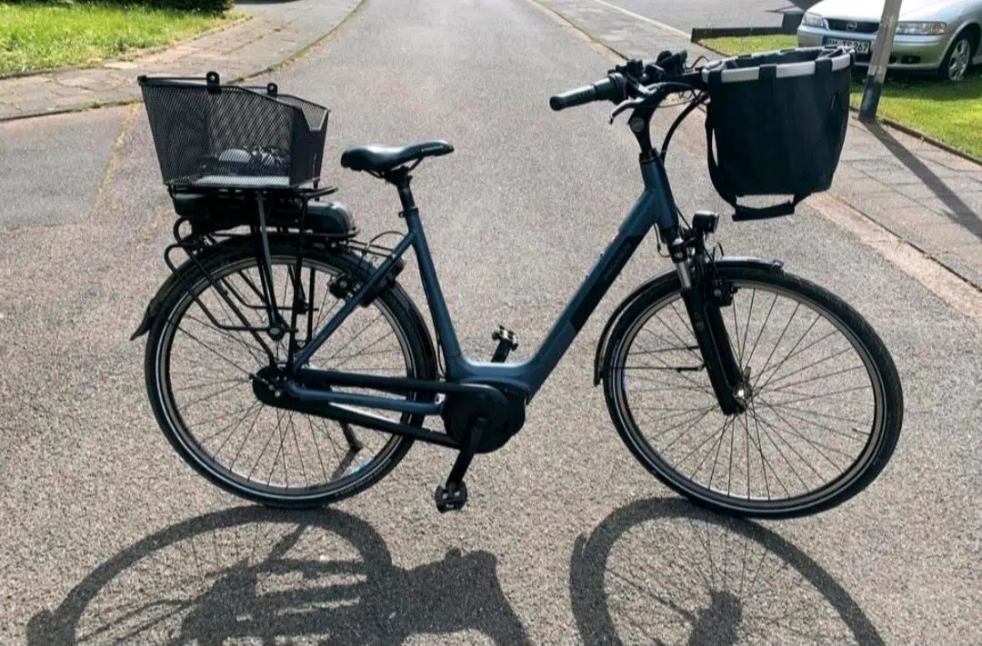 Damen E-Bike Pegasus 28 Zoll