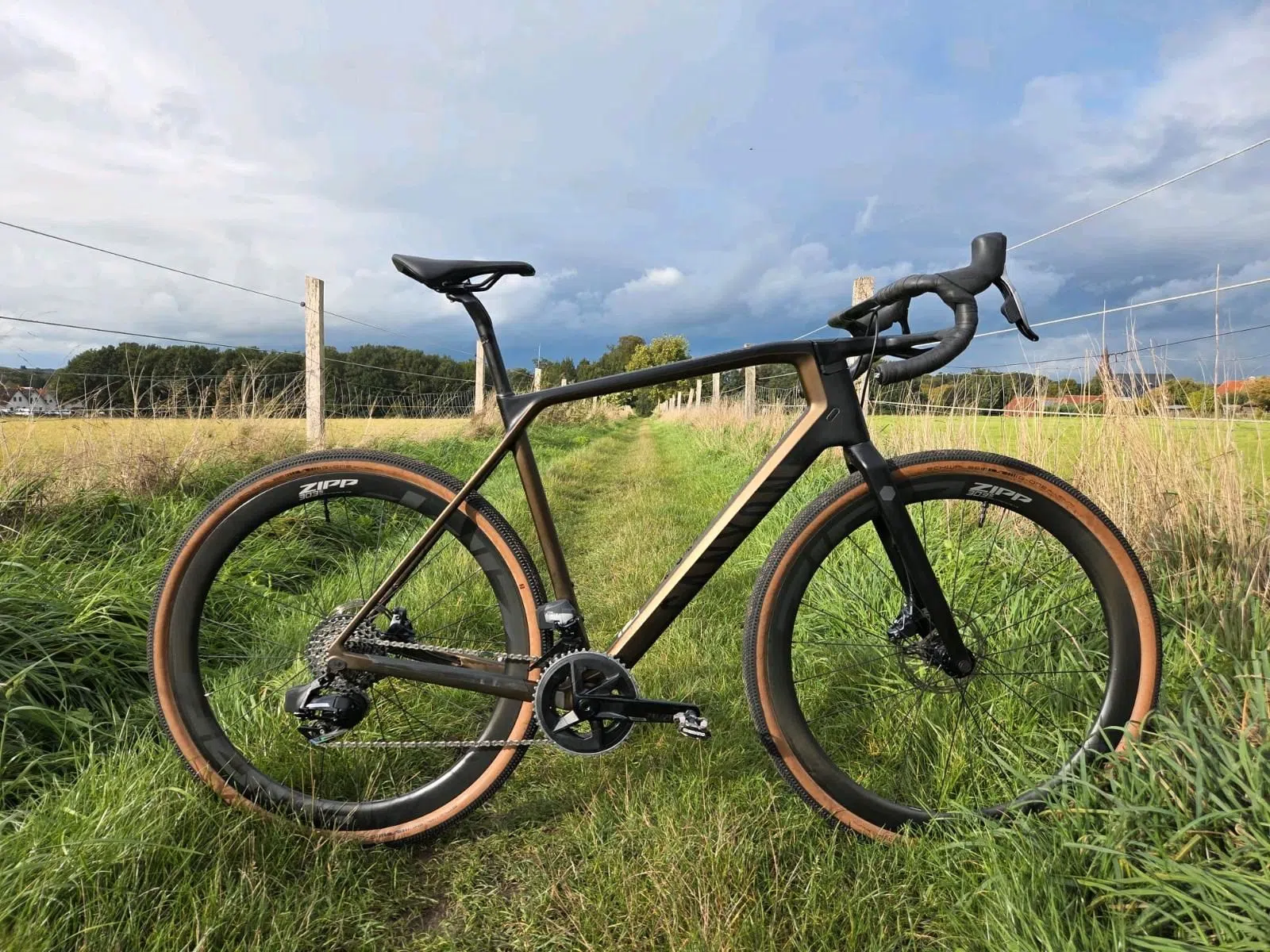 Canyon Grail CF SL Carbon Gravelbike Zipp 303s Sram Force AXS TOP