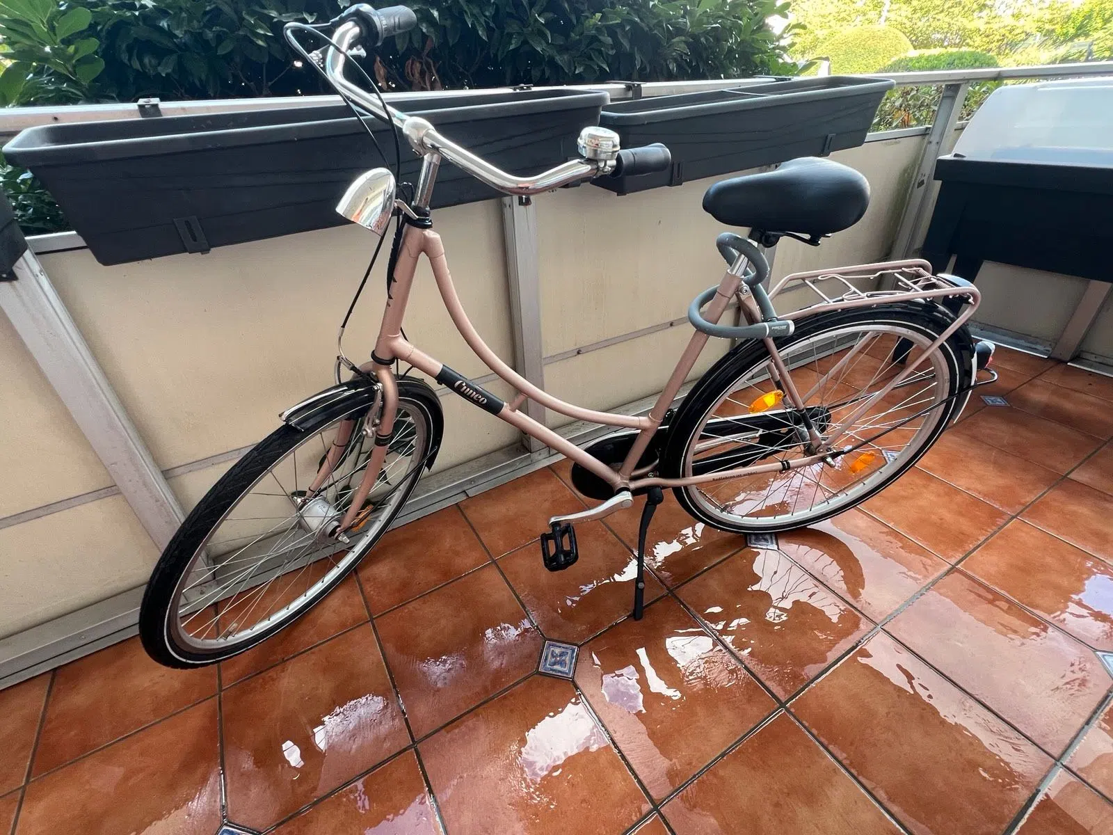 Cuneo Groningen 3 Damenrad Citybike
