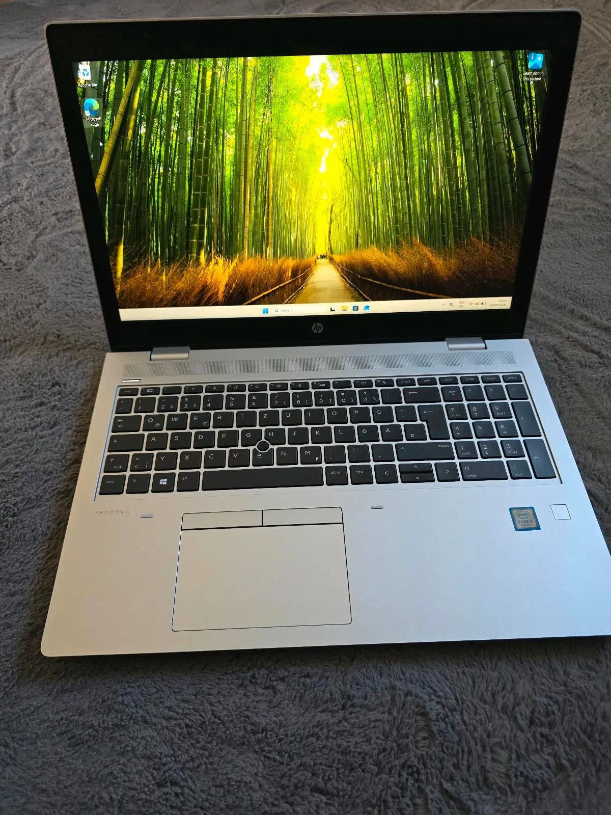 HP ProBook 650 G5 Notebook / Laptop, Windows 11
