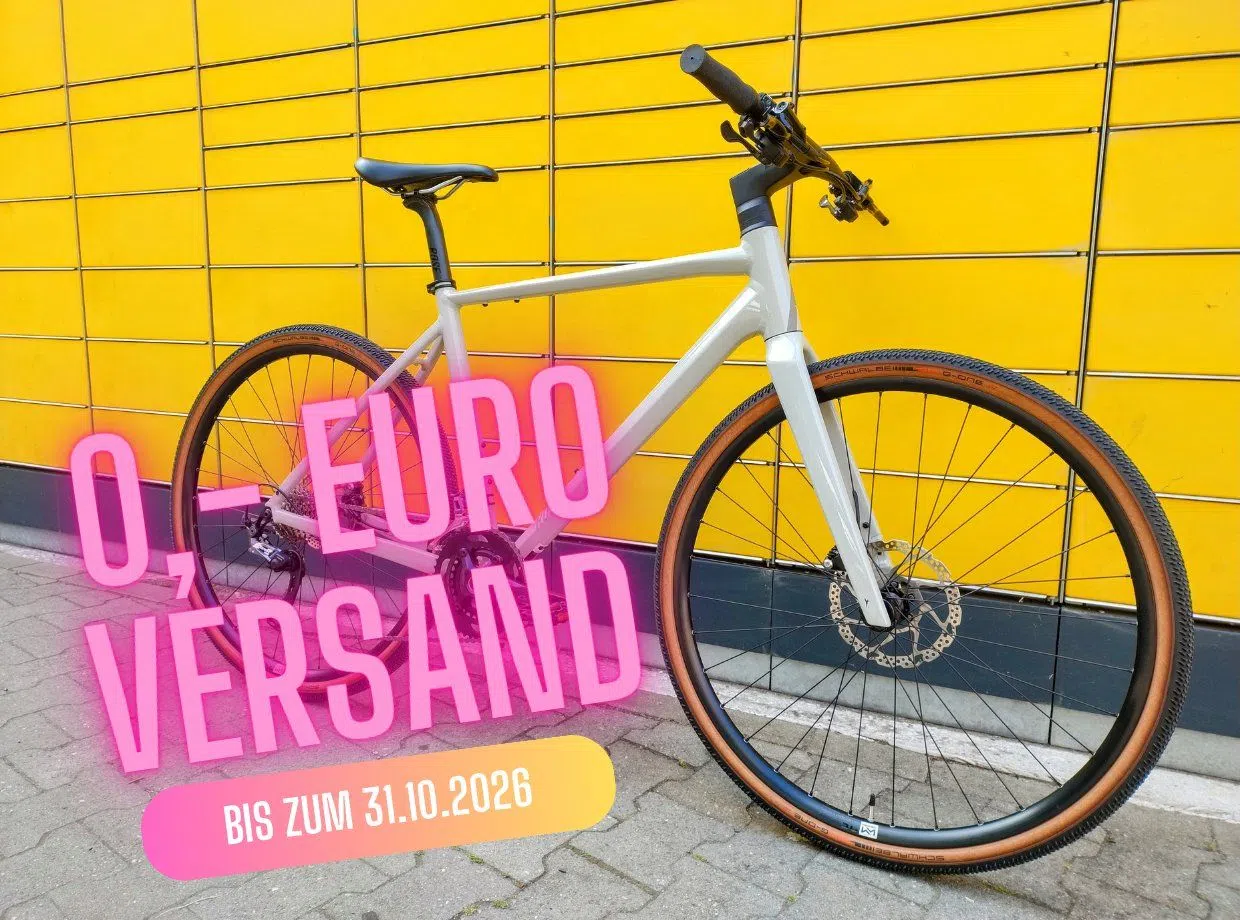 Rose Sneak 2 Citybike (M) Gravelbike Citybike GRX 2x11