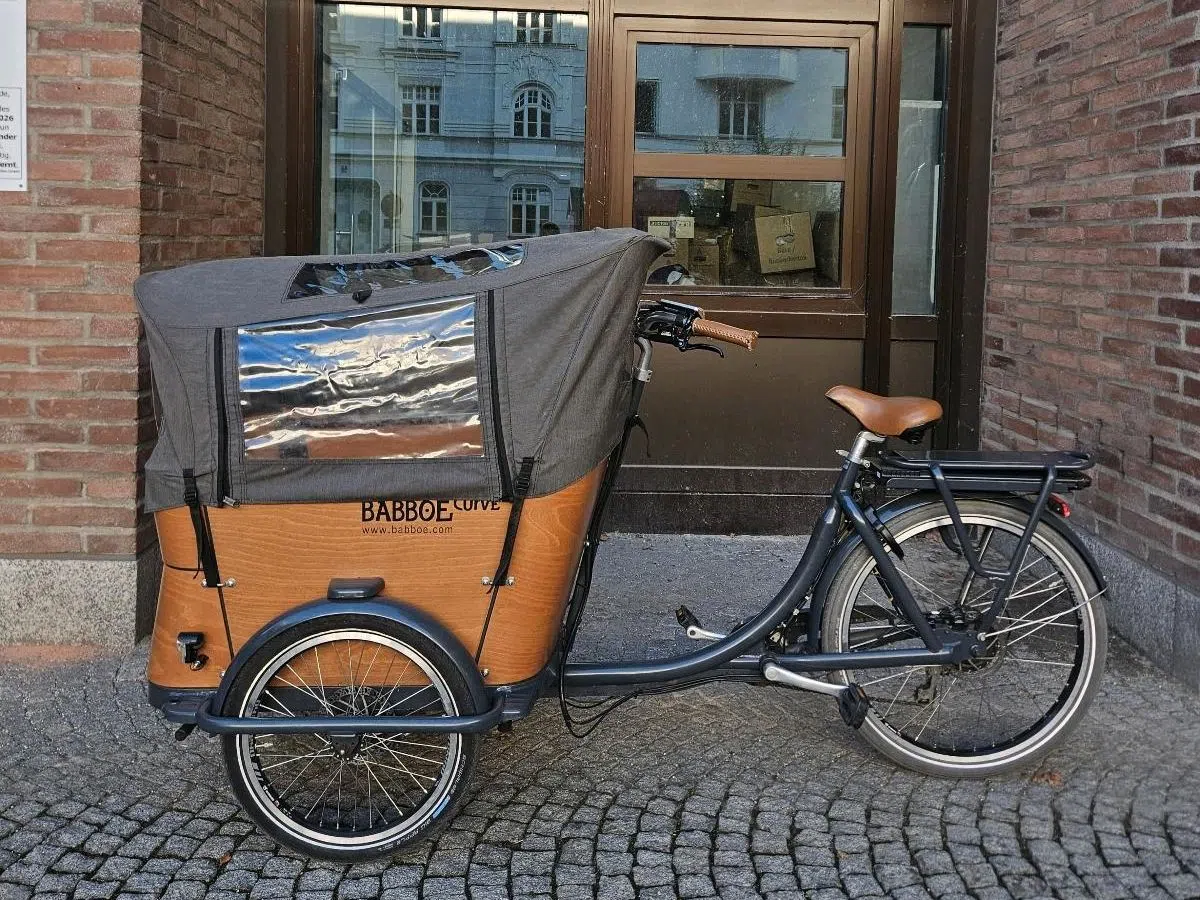 Babboe Curve-E nur ~ 1.550 km perfekter Zustand Lastenrad