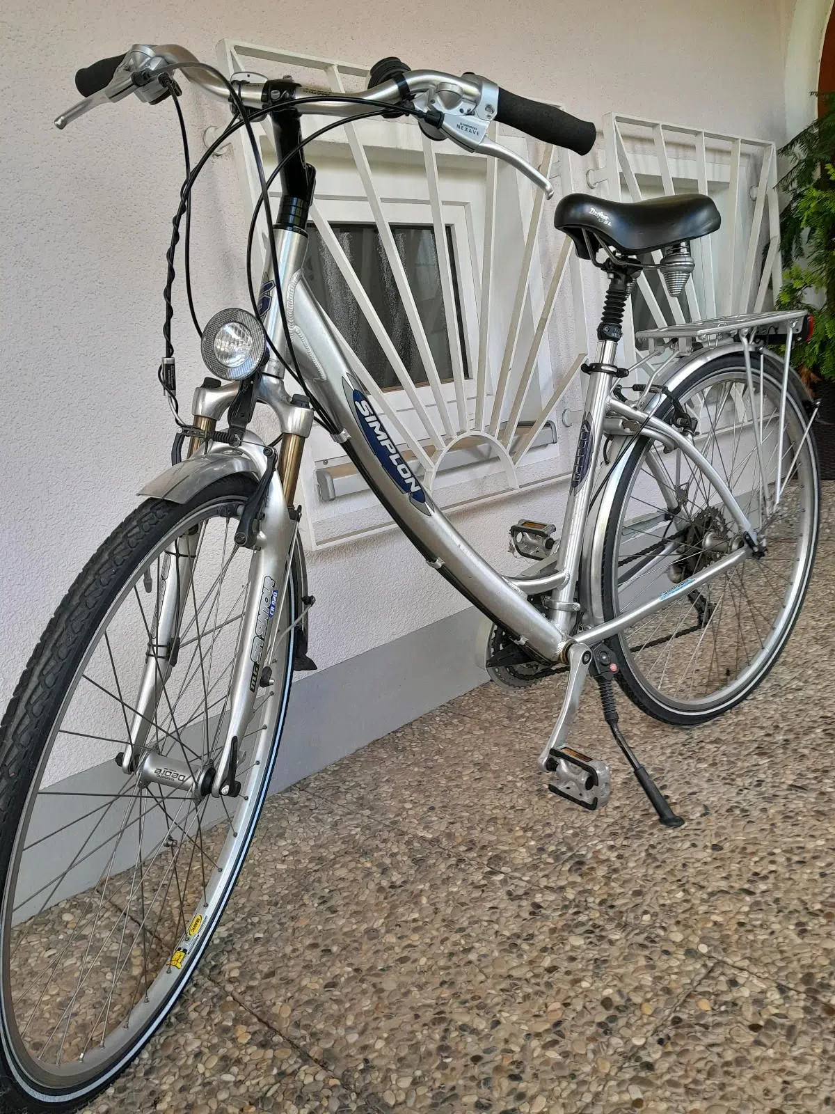Fahrrad, Damenmannschaft, Citybike