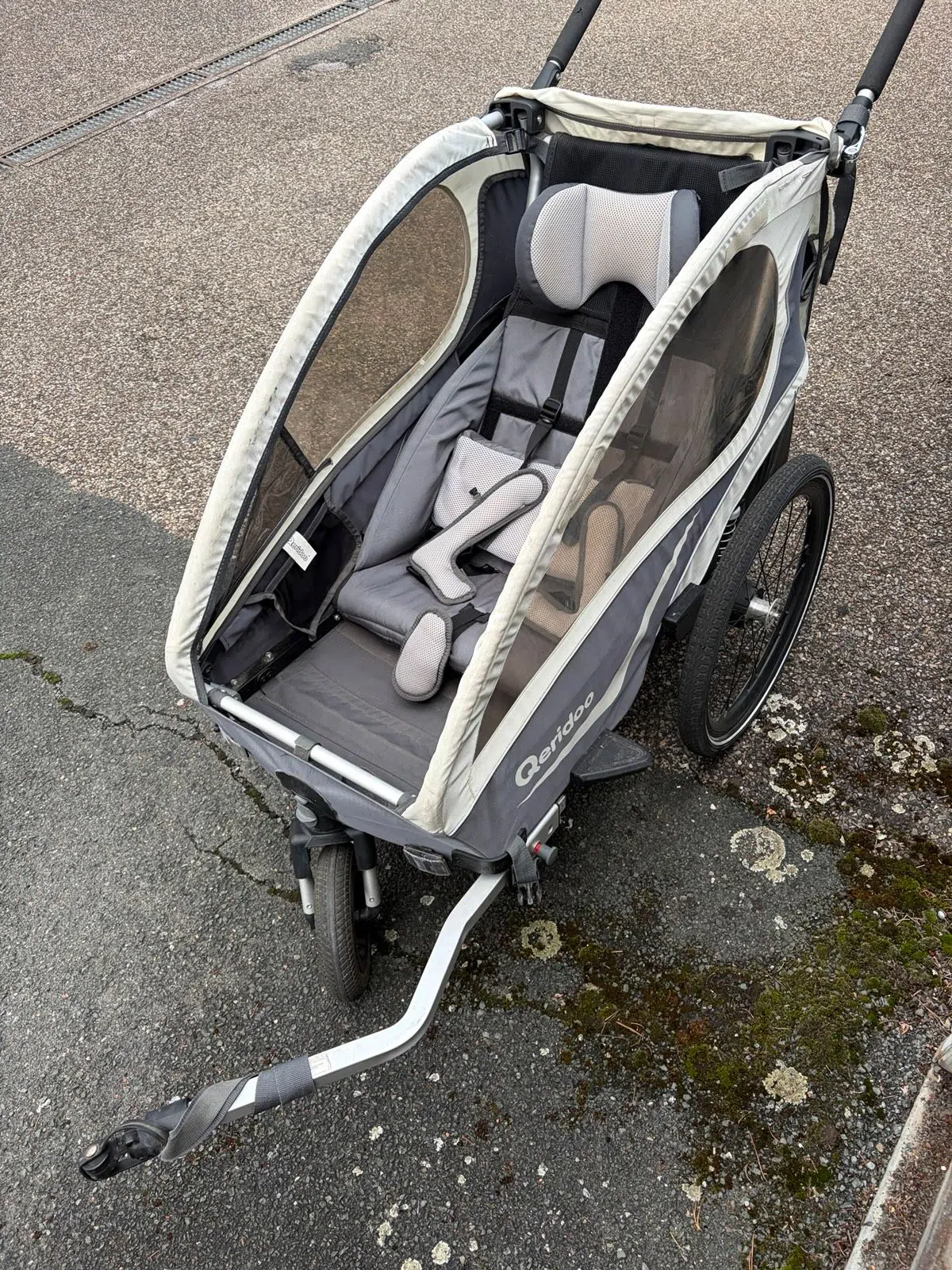 Qeridoo Kidgoo 1 Fahrradanhänger