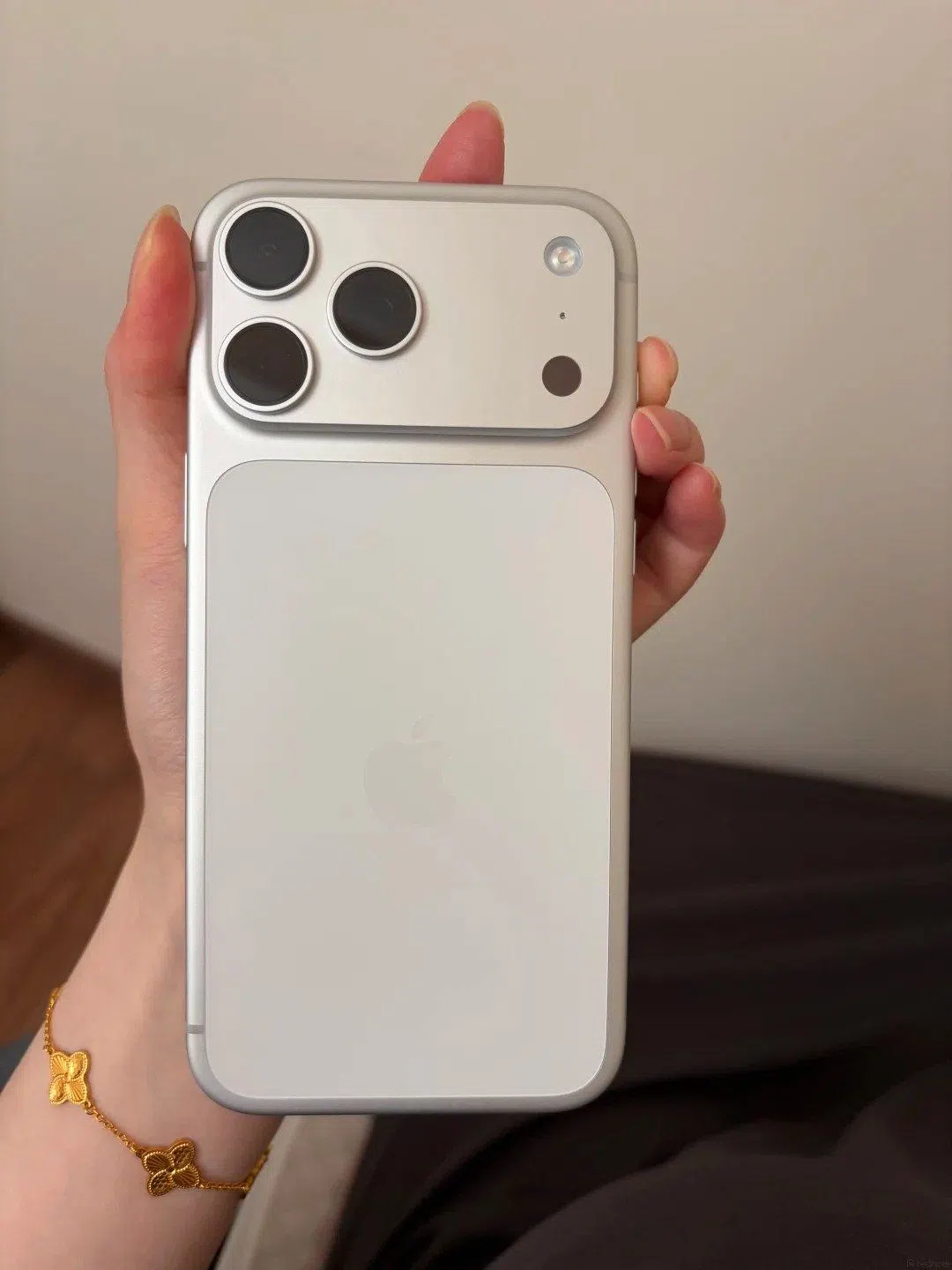 iPhone 17 pro max 1TB weiß (A16 bionic chip)