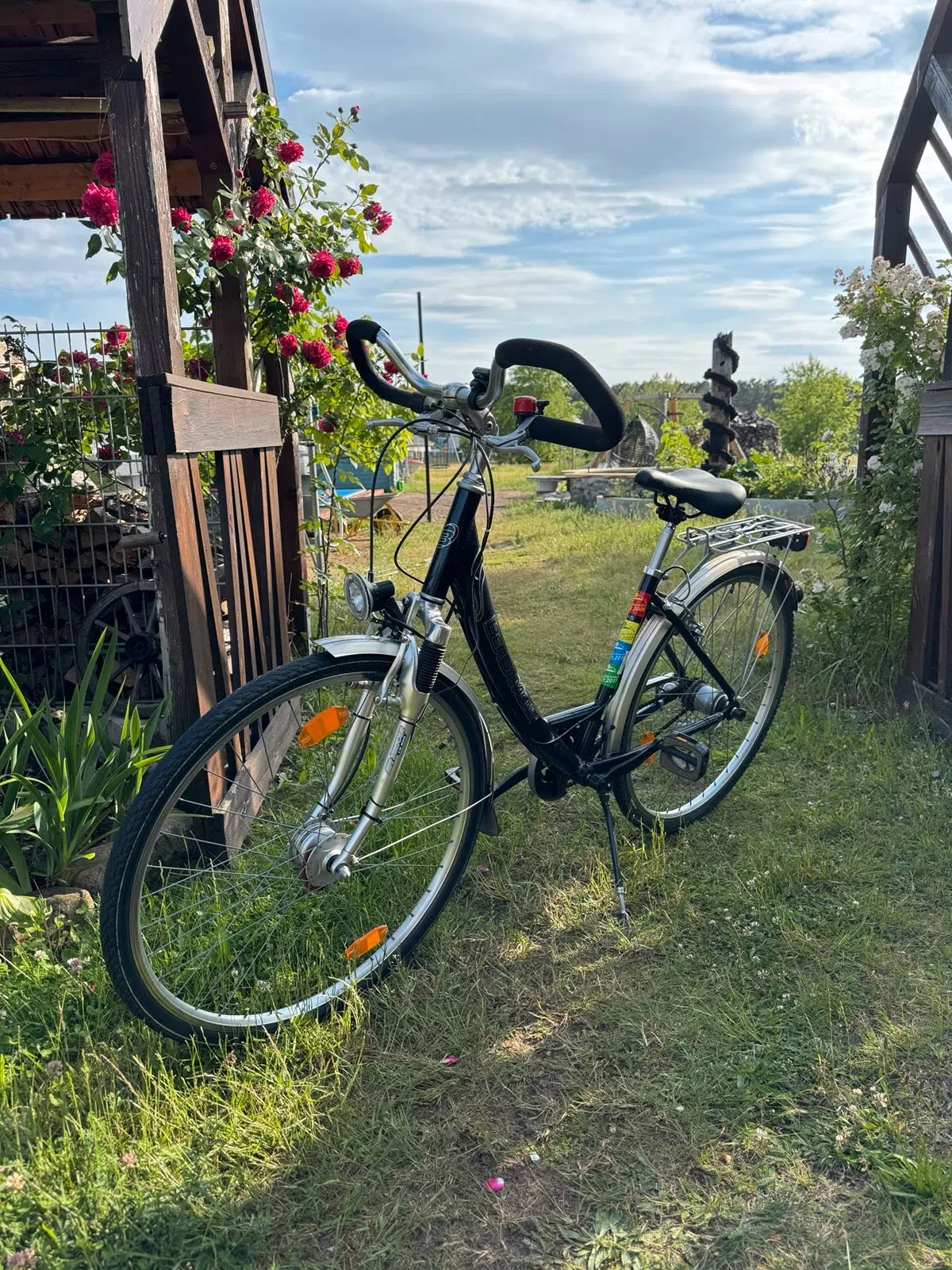 Herrenrad/Fahrrad