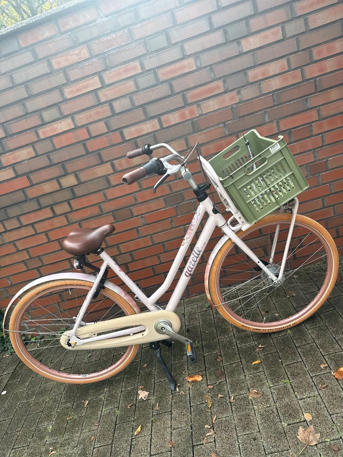 Gazelle Miss Grace Fahrrad rosa mit Korb Lastenrad Hollandrad